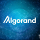 Algorand是由谁创立的？哪些机构支持其生态发展？