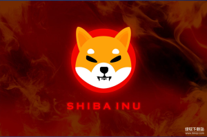 狗狗币和柴犬币（SHIB）有何区别？两者谁的生态更完善？