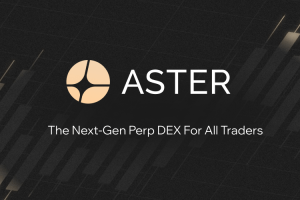 谁在背后开发ASTER币？其团队背景与实力如何？