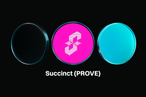 什么是Succinct Prover Network？PROVE代币如何推动ZK基础设施？