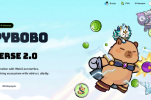 PYBOBO币有什么用？游戏奖励与稀有度如何提升？