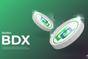 Beldex是什么？如何用环签名和隐秘地址保护隐私？