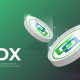 Beldex是什么？如何用环签名和隐秘地址保护隐私？