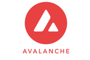 Avalanche生态有哪些主要项目？各项目如何定位？