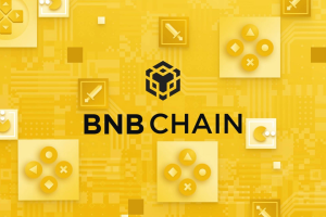 什么是币安币BNB？它在区块链生态中有哪些核心应用？