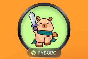 PYBOBO币是什么？值得新手用户投资吗？