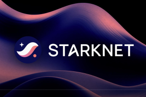 什么是Starknet？代币分配情况是什么？其核心作用是什么？