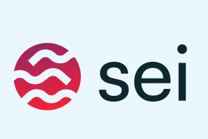 SEI币是什么？有什么用？为什么能吸引大量资本进行投资？