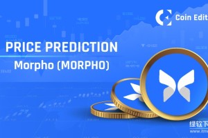 什么是Morpho Protocol？其主要功能与协议定位是什么？