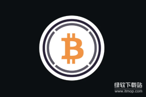 主流封装型代币有哪些？独特特征和具体用例分别是什么？