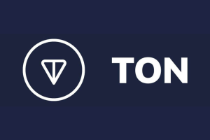 Toncoin在TON生态系统中有哪些主要用途？其经济模型怎么样？