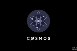 ATOM币如何参与治理？持币者有什么权利？
