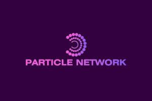 Particle Network如何实现跨链？它在区块链中起什么作用？