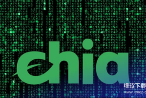 XCH币有哪些主要用途？它在Chia网络中能用来做什么？