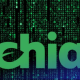 XCH币有哪些主要用途？它在Chia网络中能用来做什么？