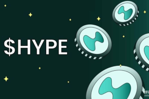 什么是HYPE通缩机制？为何供应量不增反减？