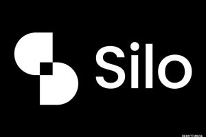 Silo是什么？它的风险隔离借贷模型如何保障用户资金安全？