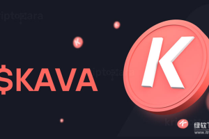 什么是Kava EVM？主要特点是什么？如何融合以太坊与Cosmos的优势？
