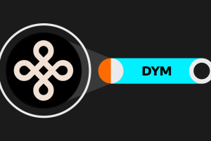 DYM代币的具体功能是什么？在 Dymension 网络中扮演了什么角色？