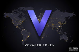 VGX币是什么？具体作用是什么？代币分配合理吗？