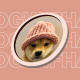 什么是Dogwifhat（WIF币）？它为何能成为热门迷因加密货币？