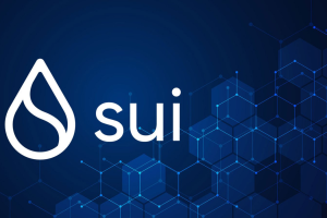 Sui隐私技术的ZK证明是什么？它如何保护用户数据？
