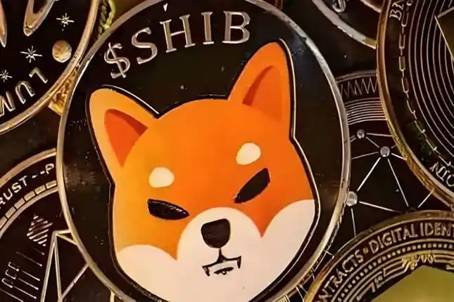 随机图片